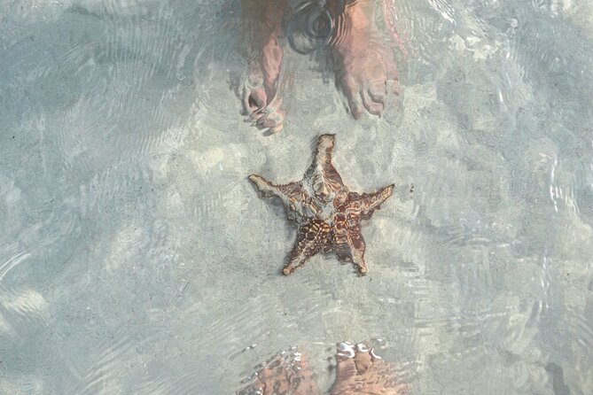 Cayman Ultimate Tour: Stingray City, Snorkeling & Beach Lunch - Coral Gardens and the Barrier Reef