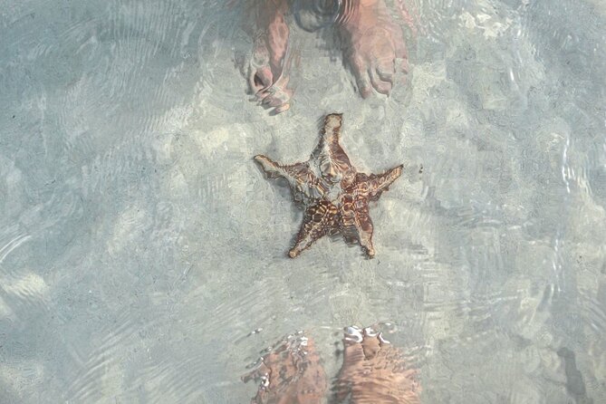 Cayman Ultimate Tour: Stingrays, Starfish Point and Crystal Caves - Why this Grand Cayman combination works
