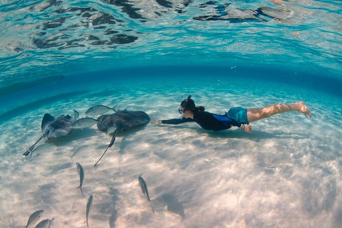 CaymanVisitor Hide & Seek GeoTour Self-Drive Tour - Starting in George Town at 257 Roberts Drive