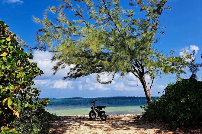 Coastal E-Bike Adventure: Full-Day Self-Guided Tour Grand Cayman - Hell’s black limestone and the famous sign