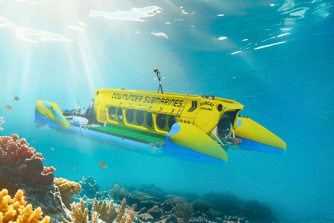 Exclusive Cayman Underwater Adventure: Yellow Submarine Cayman - Five details to know before you book