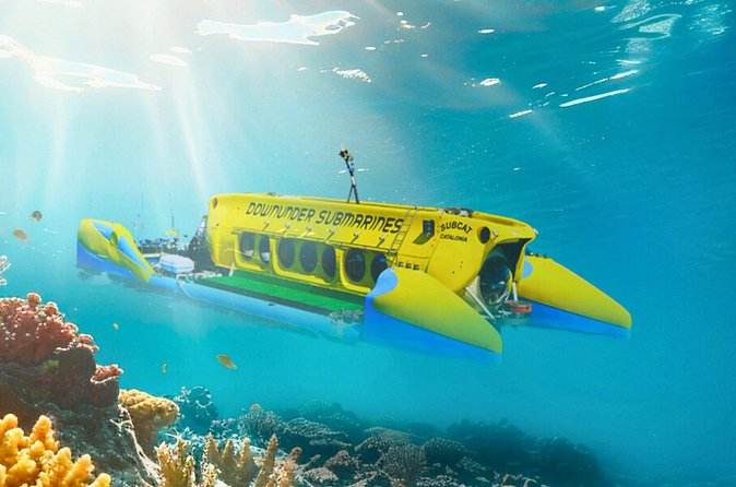 Exclusive Cayman Underwater Adventure: Yellow Submarine Cayman - Is $159 a fair price?