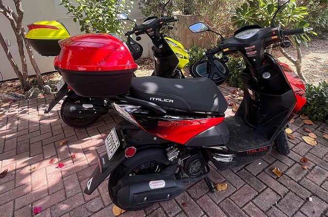 Freedom on Two Wheels Cayman Brac Style - Walking The 180-Acre Parrot Preserve