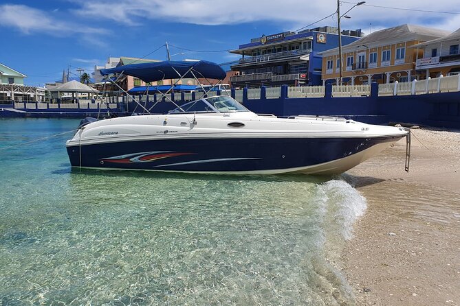 Full-Day Private Stingray City Snorkeling and Starfish Beach Tour - Key Points to Know Before You Book