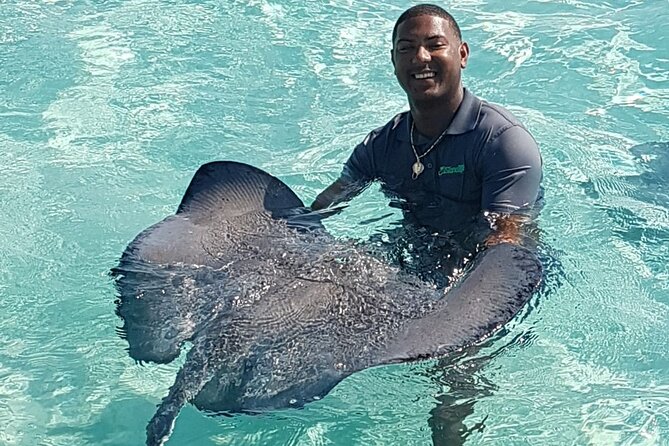 Full-Day Private Stingray City Snorkeling and Starfish Beach Tour - Meeting the Stingrays at Stingray City