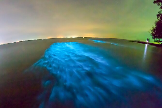 Grand Cayman Bioluminescence Adventure - The crew makes a real difference after dark