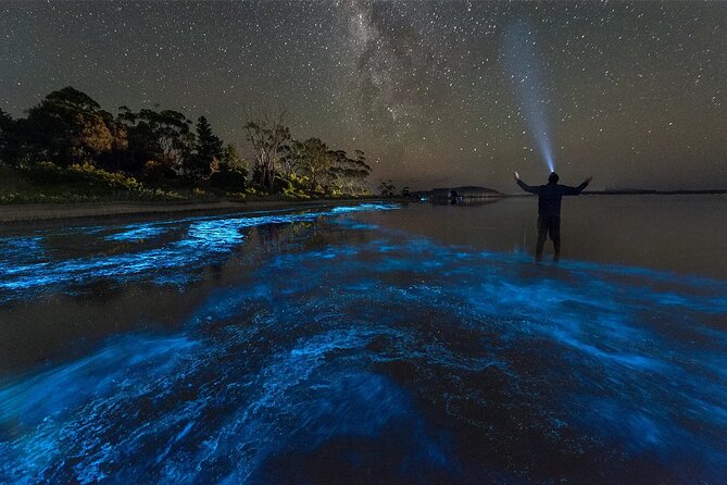 Grand Cayman Bioluminescence Adventure - The pickup details deserve your full attention