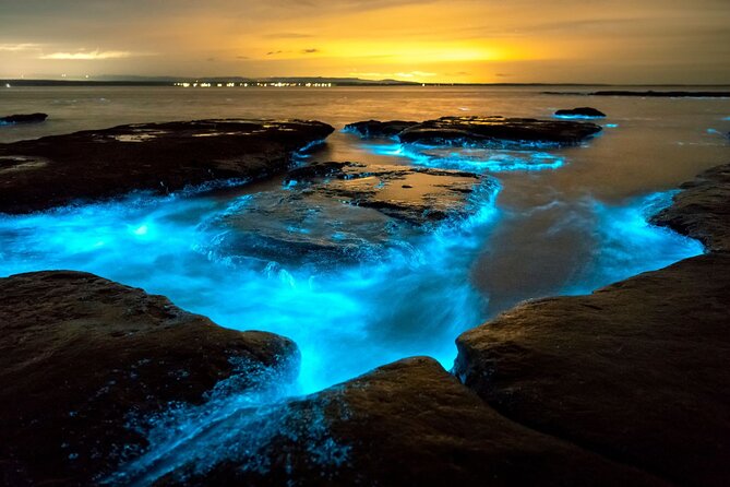 Grand Cayman Bioluminescence Adventure - What to bring for the glowing water