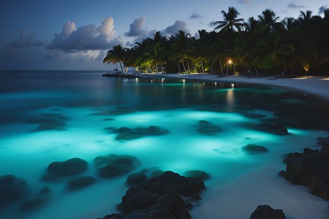 Grand Cayman Bioluminescence Adventure - Cayman Kai turns dark and luminous