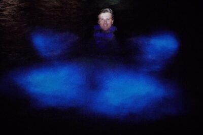 Grand Cayman Bioluminescence Experience