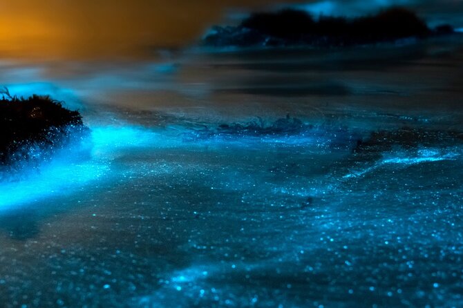 Grand Cayman Bioluminescence Experience - Timing, group size, and comfort