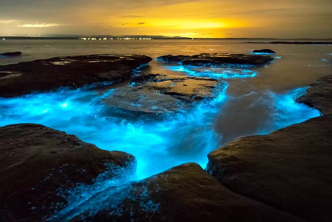 Grand Cayman Bioluminescent Bay Adventure - Key points to know before booking