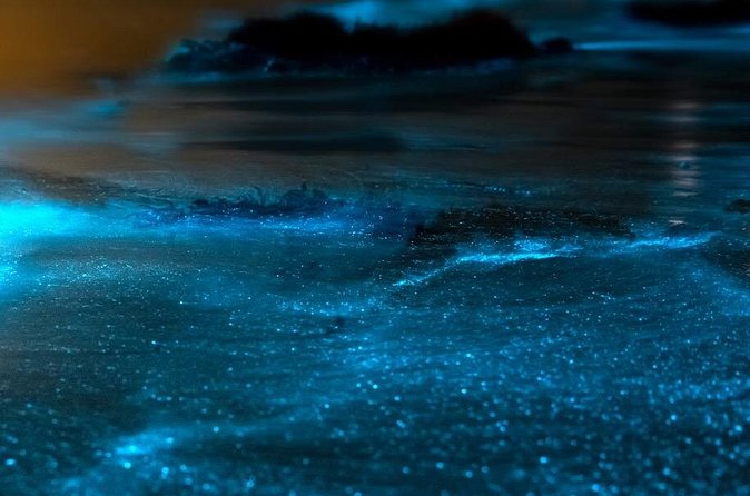 Grand Cayman Bioluminescent Bay Adventure - Pickup, timing, and small practical details