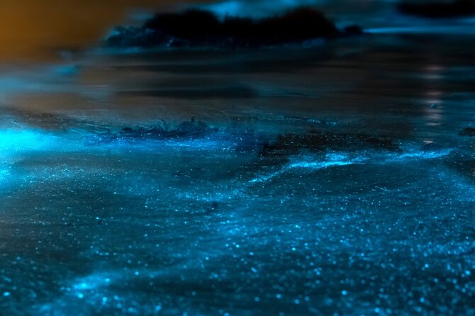 Grand Cayman Bioluminescent Bay Adventure - Should you book the Grand Cayman Bioluminescent Bay Adventure?