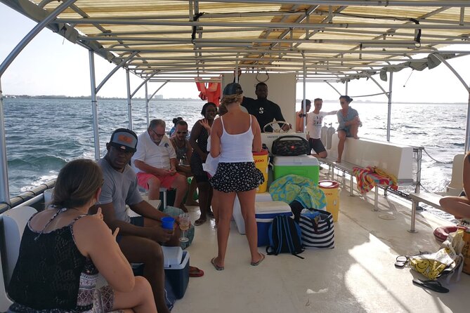 Grand Cayman - Bioluminescent Bay Tour - Quick takeaways before you book