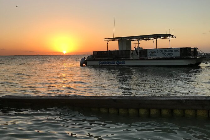 Grand Cayman - Bioluminescent Bay Tour - Why moonlight and weather affect the show