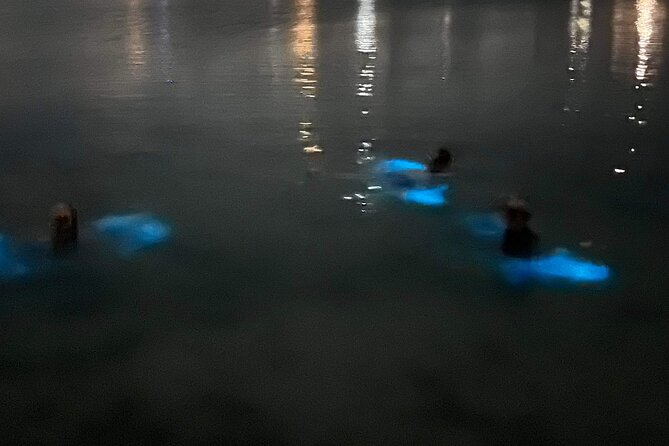 Grand Cayman - Bioluminescent Bay Tour - The crew, boat, and group size