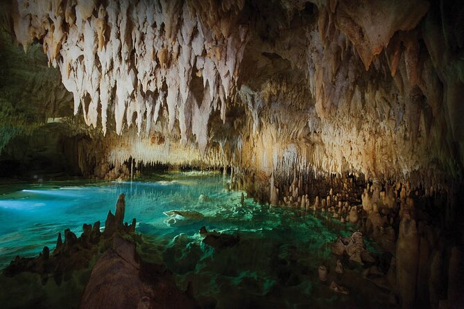 Grand Cayman Private Customized Bus Tour - Seven Mile Beach: make it your main stop if sand matters