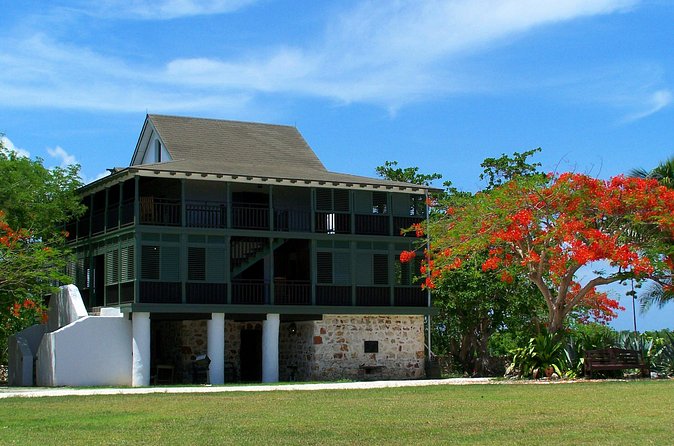 Grand Cayman Private Customized Bus Tour - The Cayman Turtle Farm for families and animal lovers