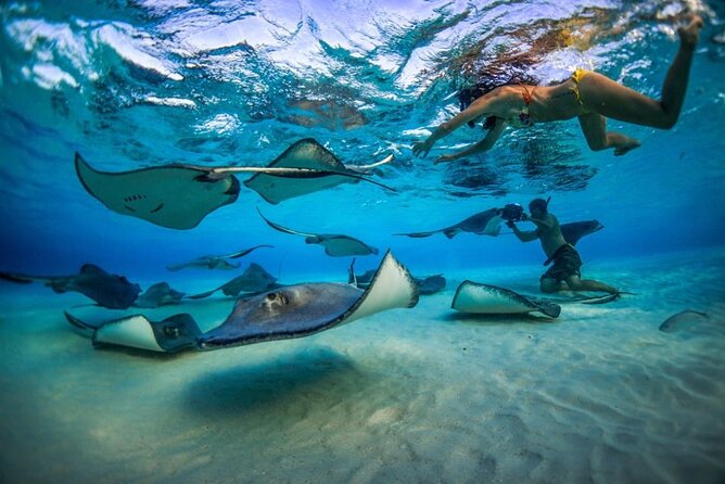Grand Cayman Reef & Stingray City Snorkeling Adventure - Stop one: one hour at Stingray City