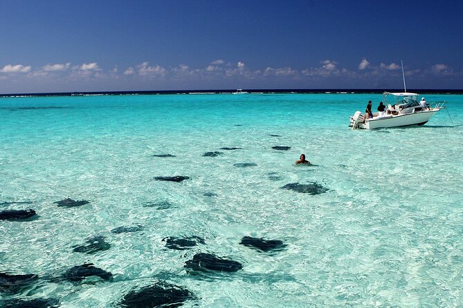 Grand Cayman Reef & Stingray City Snorkeling Adventure - What the $118.15 price includes
