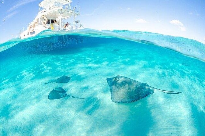 Grand Cayman Reef & Stingray City Snorkeling Adventure - Who will enjoy this trip most