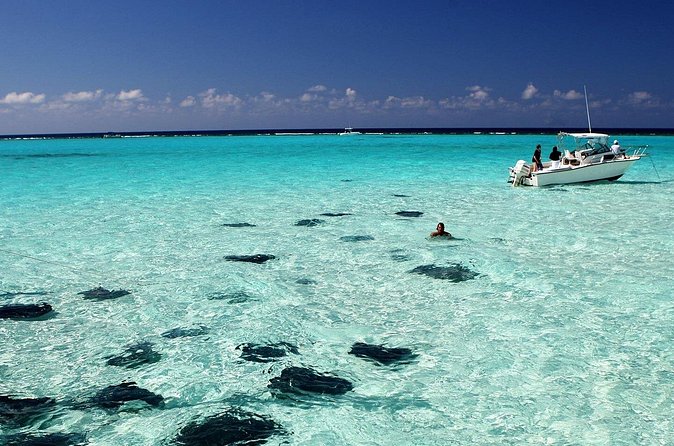 Grand Cayman Reef & Stingray City Snorkeling Adventure - Small details that can make the day easier
