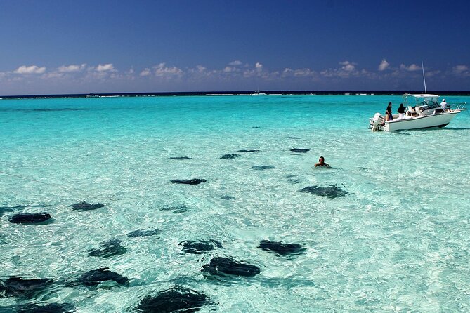 Grand Cayman Stingray City and Reef Snorkeling Combo Tour - Key points to know before booking