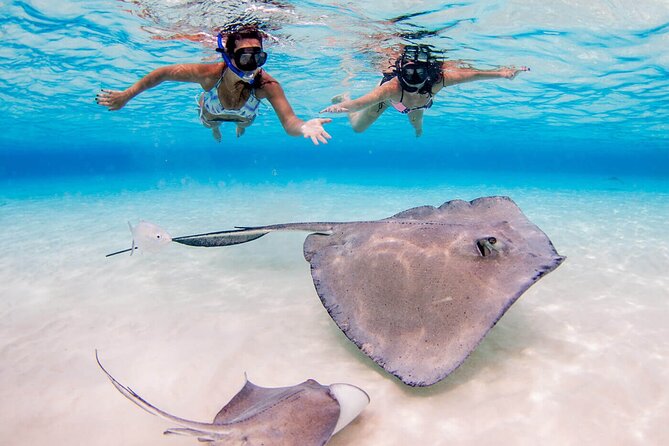 Grand Cayman Stingray City and Reef Snorkeling Combo Tour - Why Stingray City is Grand Cayman’s signature water stop