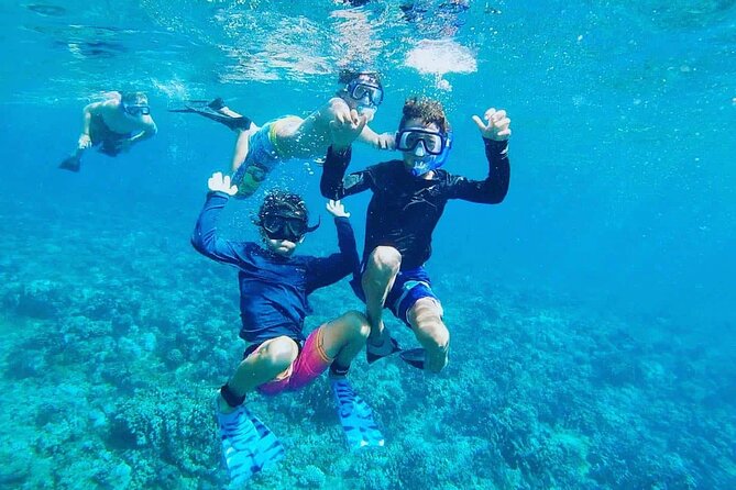 Grand Cayman Stingray City and Reef Snorkeling Combo Tour - What the two-and-a-half-hour schedule feels like