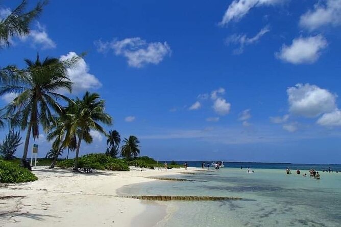 Half Day Private Boat Charter in Grand Cayman - Three or four stops, with some welcome freedom