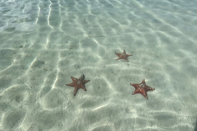 Half Day Private Boat Charter in Grand Cayman - What is included, and what should you bring?