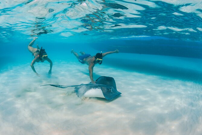Half-Day Private Stingray City Charter - Grand Cayman - BTC - The Barrier Reef and Grand Cayman’s natural shield