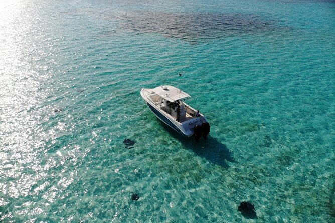 Half-Day Private Stingray City Charter - Grand Cayman - BTC - Meeting the boat at Yacht Drive