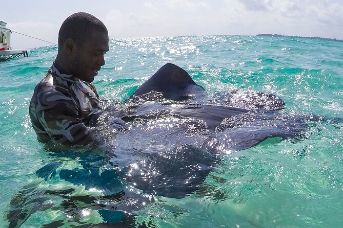 Half-Day Private Stingray City Charter in Cayman Islands - Why a private boat changes Stingray City