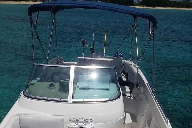 Half-Day Private Stingray City Charter in Cayman Islands - Stop one: meeting the stingrays at the North Sound sandbar