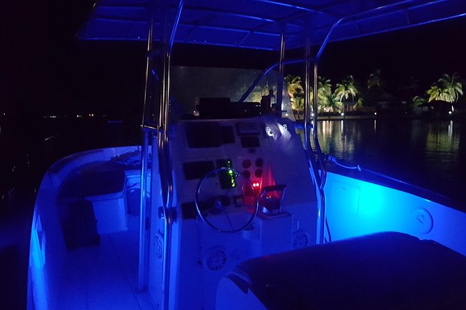 Night Bioluminescence Snorkel Tour - Setting Out From Cayman Islands Yacht Club