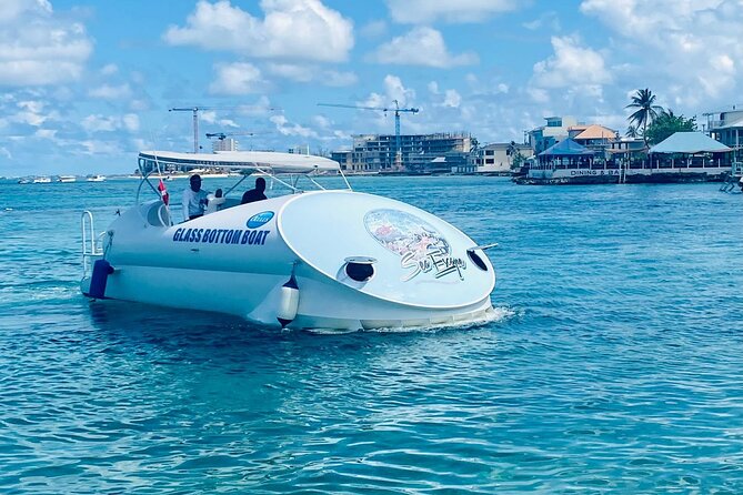Oculus Glass Bottom Boat Tour - Key things to know before you book
