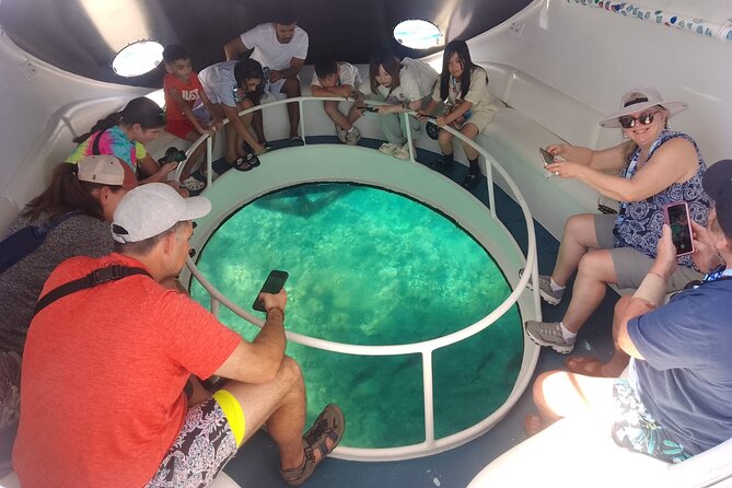 Oculus Glass Bottom Boat Tour - Staying dry or choosing the snorkeling add-on