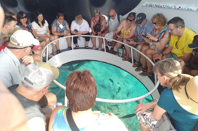 Oculus Glass Bottom Boat Tour - Guide commentary makes the short trip worthwhile