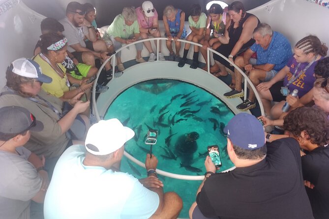 Oculus Glass Bottom Boat Tour - Price, timing, and what you get for $59.95