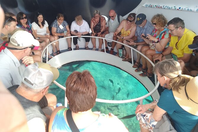Oculus Glass Bottom Boat Tour - Getting to South Terminal and boarding the boat