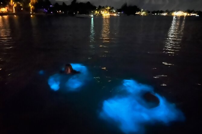 Private: Bioluminescence Tour - Key Things to Know Before You Book