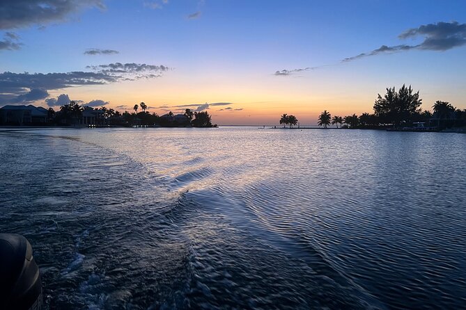 Private: Bioluminescence Tour - From Agua Restaurant to the Dark Water