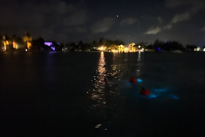 Private: Bioluminescence Tour - Why the Moon Phase Matters So Much