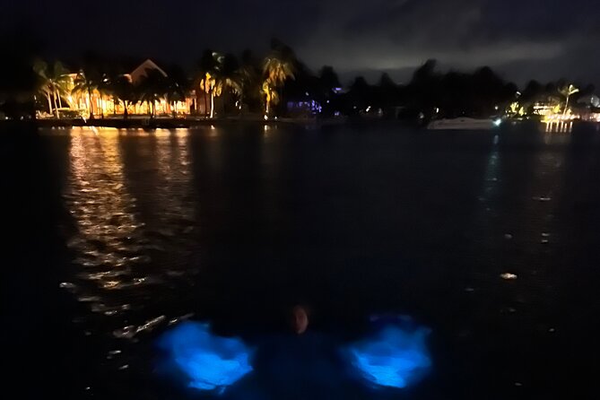 Private: Bioluminescence Tour - The Captains Make the Difference