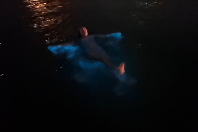 Private: Bioluminescence Tour - What $599 Buys Your Group