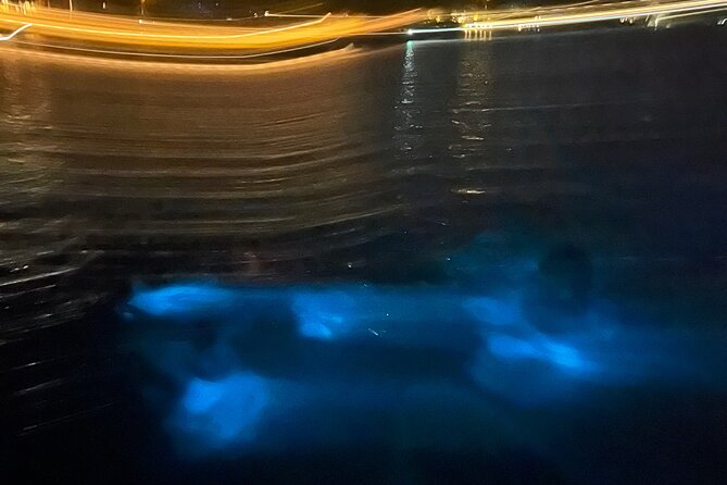 Private: Bioluminescence Tour - Drinks, Music, and Small Practical Details