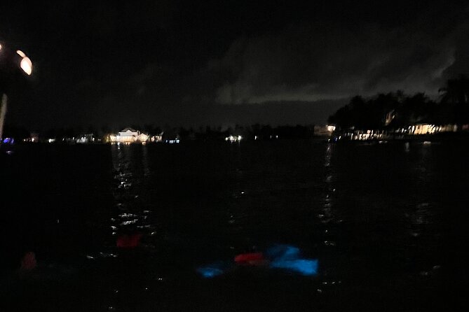 Private: Bioluminescence Tour - Who Will Enjoy This Most