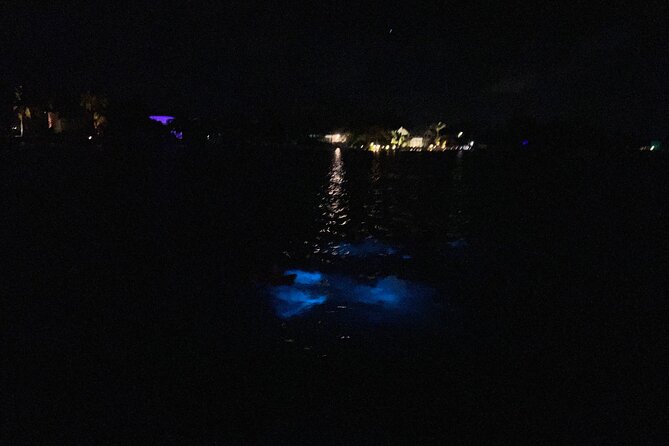 Private: Bioluminescence Tour - My Booking Advice for the Best Chance of Glow